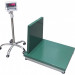 Товарные весы ЕВ1-600 (Wi-5R) 700х800