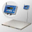 4D-P.S-2-1000-AB(RUEW) Весы платформенные