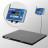 4D-PM-1-1500-AB(RUEW) Весы платформенные