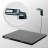 4D-PM-2-3000-RL Весы платформенные