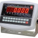 Платформенные весы ЕВ4-600-М (WI-19eA) 1500х1500