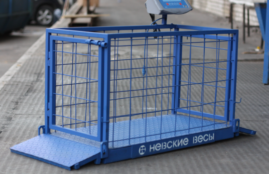 Животноводческие весы ВСП4-300 ЖсО9 для поросят (900х400)